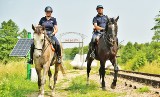 Kilkuset policjantów wspomaga Straż Graniczną w ochronie granicy z Białorusią. Zobacz jak wygląda ich codzienna praca