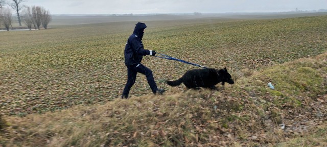 Osoby, które znają miejsce pobytu Partyka Niklewskiego proszone są o kontakt z dyżurnym KMP w Grudziądzu pod nr. tel.: 47 7545 221/222. Informacje można też przekazać bezpośrednio do zespołu do spraw poszukiwań i identyfikacji - tel. 47 7545 351 lub pod numer alarmowy 112.