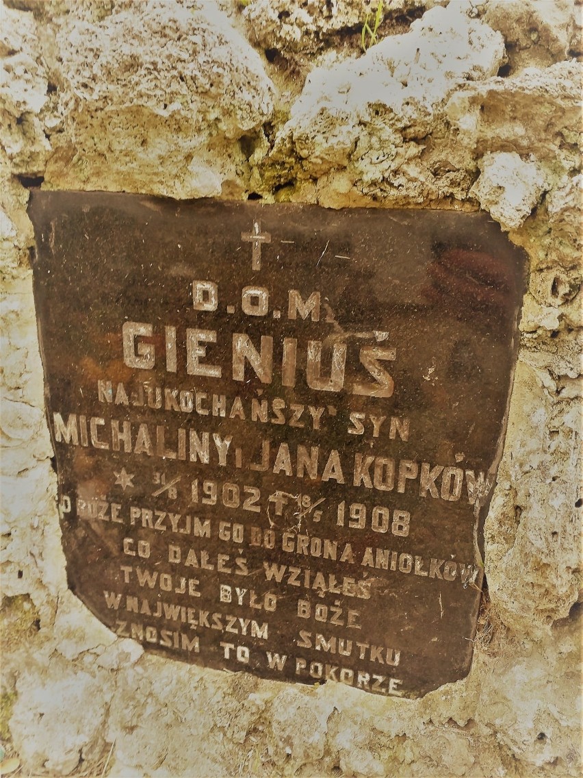 Cmentarz w Krzeszowicach, grób Gieniusia