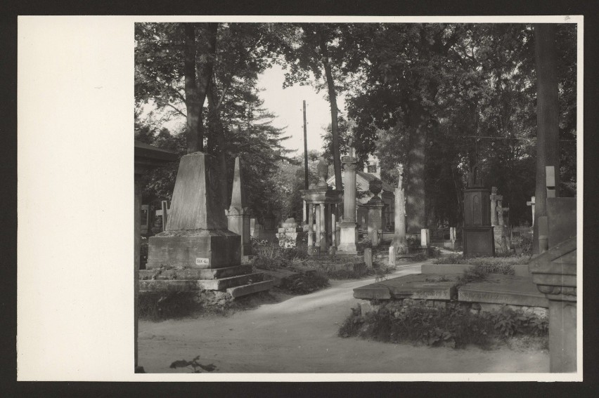Cmentarzy przy ulicy Lipowej, aleja obok sekcji IV a.