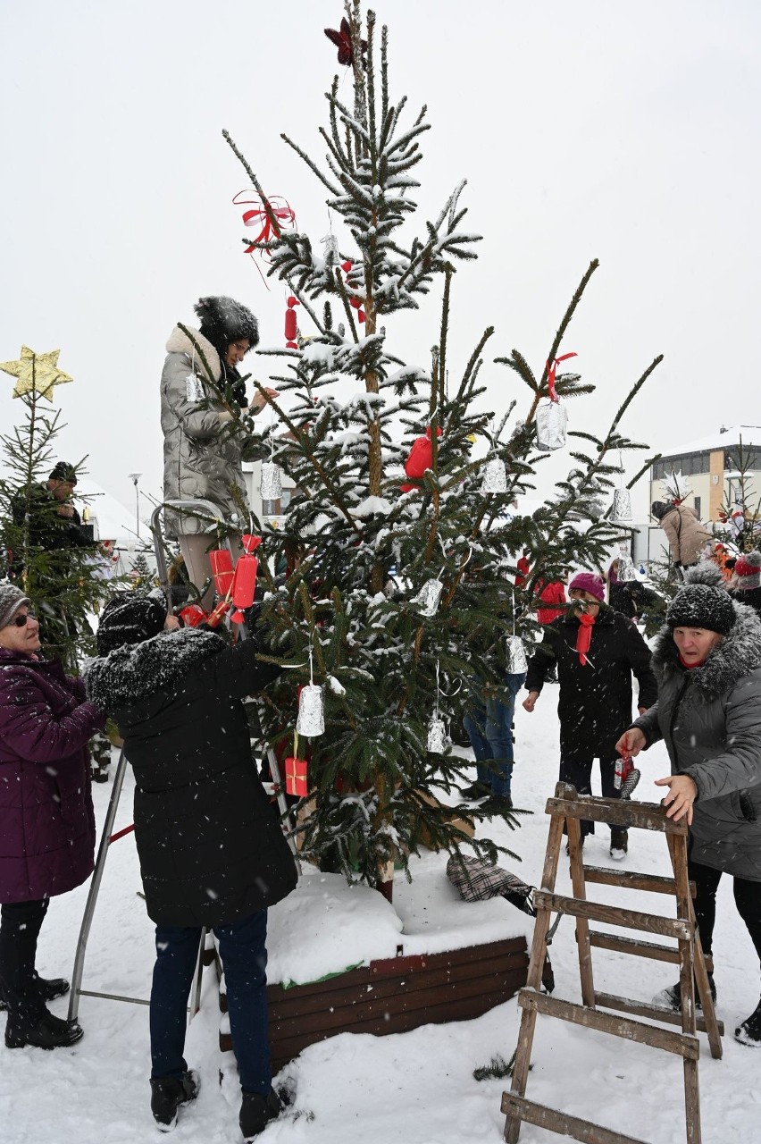 38 cudownych choinek stanęło na Rynku w Daleszycach. Tak podtrzymują świąteczną tradycję w gminie Daleszyce. Zobacz zdjęcia
