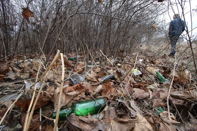 W liściach na skwerku przy ulicy Langiewicza znaleźć można puste butelki, puszki, papiery.