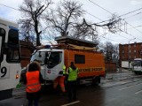 Szczecin. Konar drzewa spadł na trakcję tramwajową. Są utrudnienia