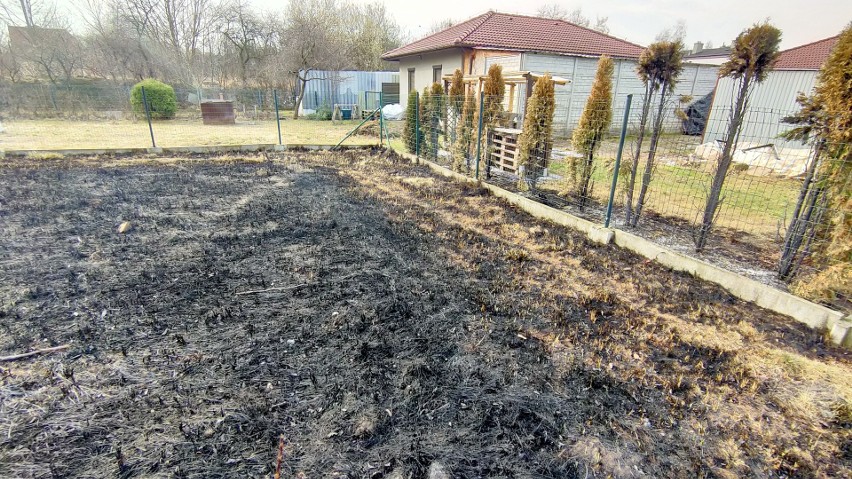 Ogień wdarł się na posesję Elżbiety Mnich. To efekt pożaru...