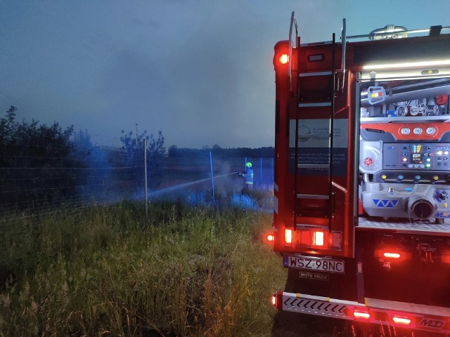 Akcja przy gaszeniu nieużytków wzdłuż trasy S7 w gminie Orońsko.