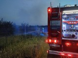 Pożar nieużytków wzdłuż trasy S7 w powiecie szydłowieckim. Z ogniem walczyli strażacy 