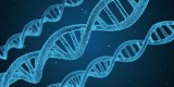 Światowy Dzień DNA: Leczenie refundowane, ale niedostępne. Wspólny front w sprawie nowoczesnej diagnostyki onkologicznej
