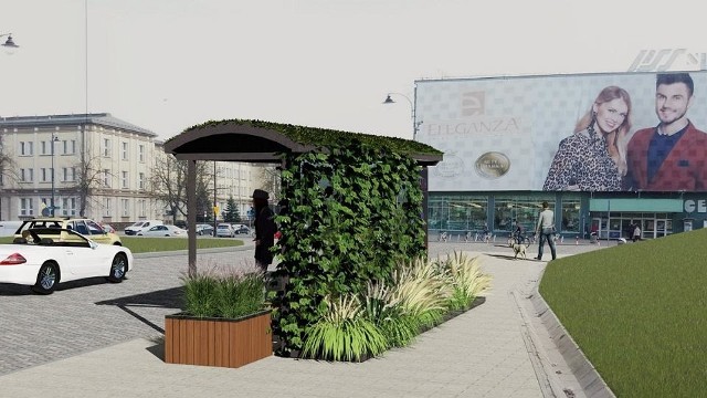 Tak mogą wyglądać przystrojone zielenią przystanki miejskiej komunikacji samochodowej w Stalowej Woli
