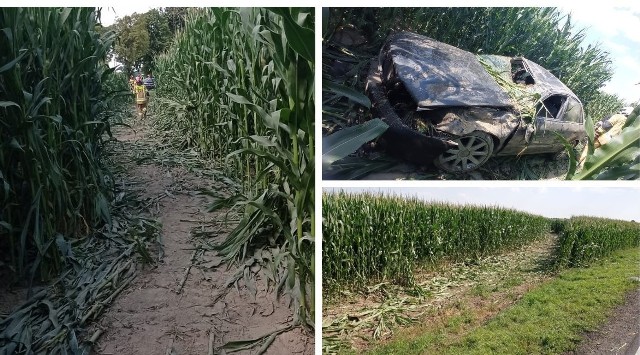 W wyniku dużej prędkości uderzony samochód wypadł w pole i dachując skosił pole kukurydzy na odcinku 100 metrów. Jak poinformowała Generalna Dyrekcja Dróg Krajowych i Autostrad, w wypadku ranne zostały dwie osoby. Utrudnienia w ruchu trwały godzinę.