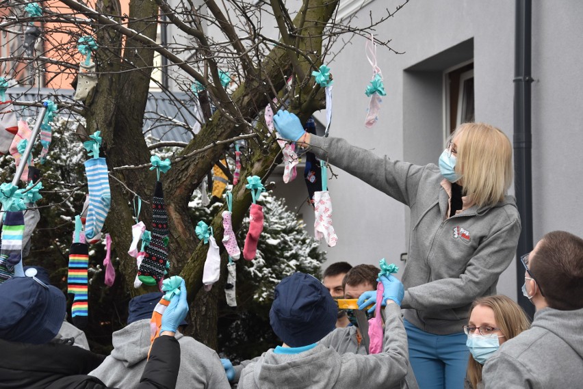 Rybnik. Drzewa na Kościuszki całe w skarpetkach bez pary. To...