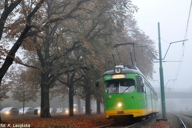 MPK Poznań: W Trzech Króli świąteczny rozkład jazdy