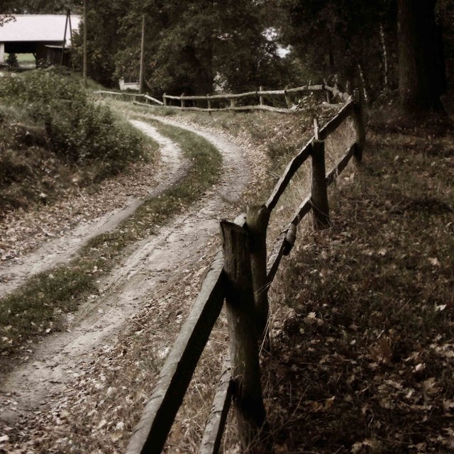 10. Oleski Konkurs Fotograficzny - nagrodzone zdjecia. Sylwester Nowak - Olesno