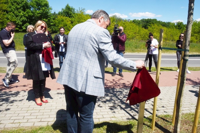 Uroczystość nadania imion dębom i odsłonięcie pamiątkowych...