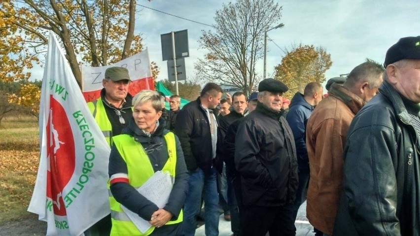 Protest sadowników w Annopolu.