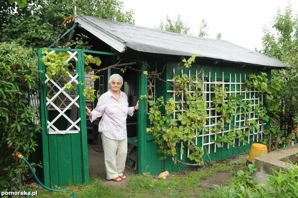 Pani Anna Góralczyk jeszcze przed pożegnaniem ze swoim ogródkiem.