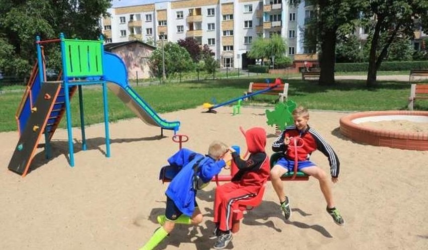 W ramach budżetu obywatelskiego w Toruniu powstało m.in....