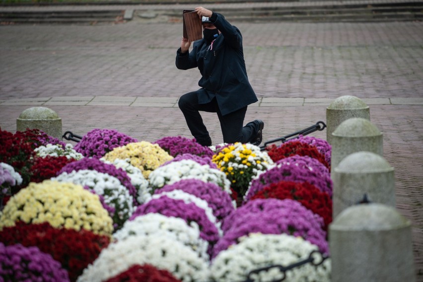 Złożenie kwiatów pod pomnikiem Józefa Piłsudskiego