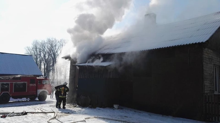 W piątek, o godz. 10.15 strażacy z OSP Brańsk zostali...