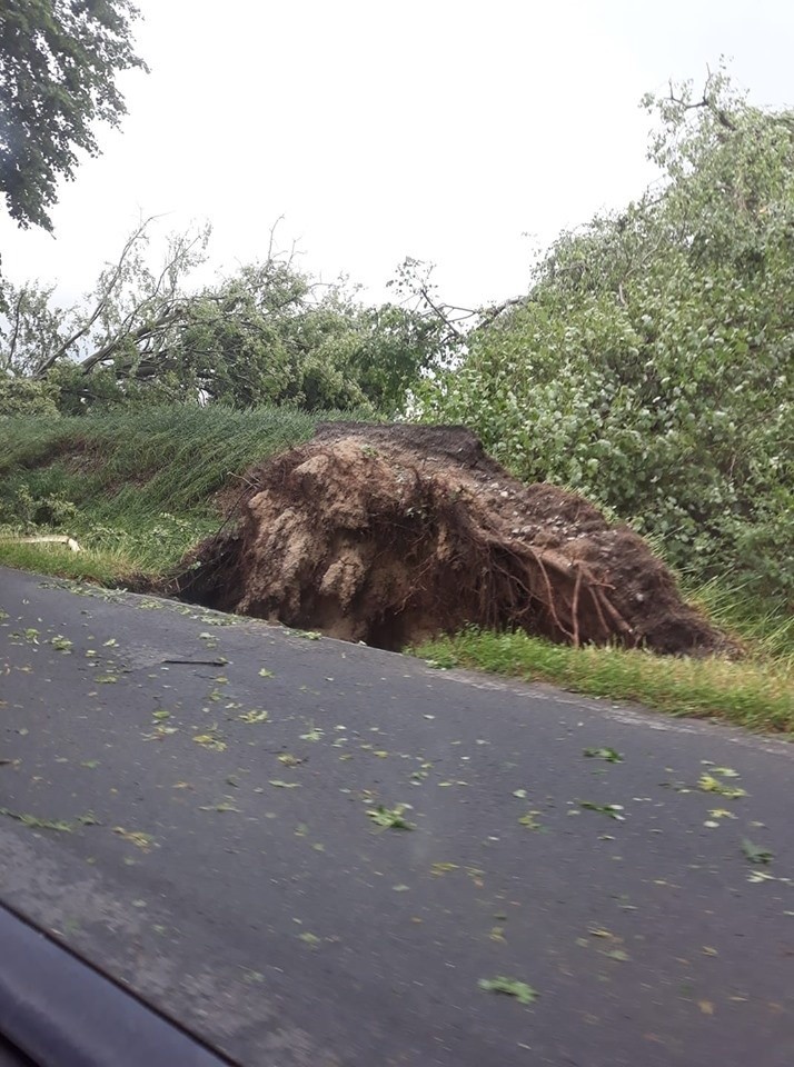 Burza na Pomorzu. Zerwane dachy, powalone drzewa, zalane ulice. Silny wiatr i ulewy. Zdjęcia z regionu. Alert RCB