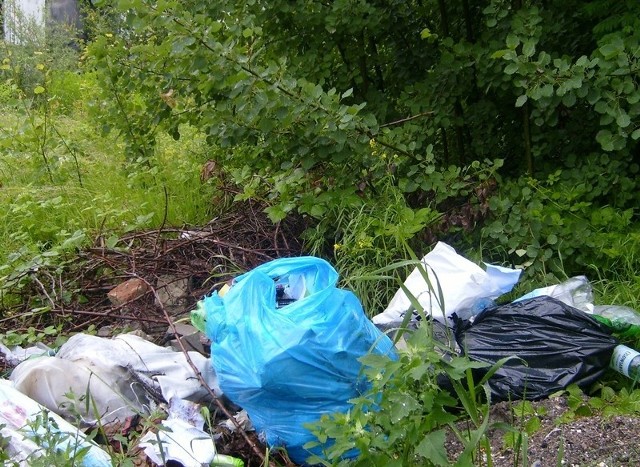 Śmieci znajdowały się na ulicy Radomskiej na terenach dawnej Zieleni Miejskiej.