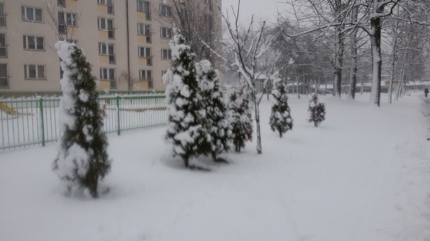 Jastrzębie: Śliska nawierzchnia, miasto zasypane śniegiem