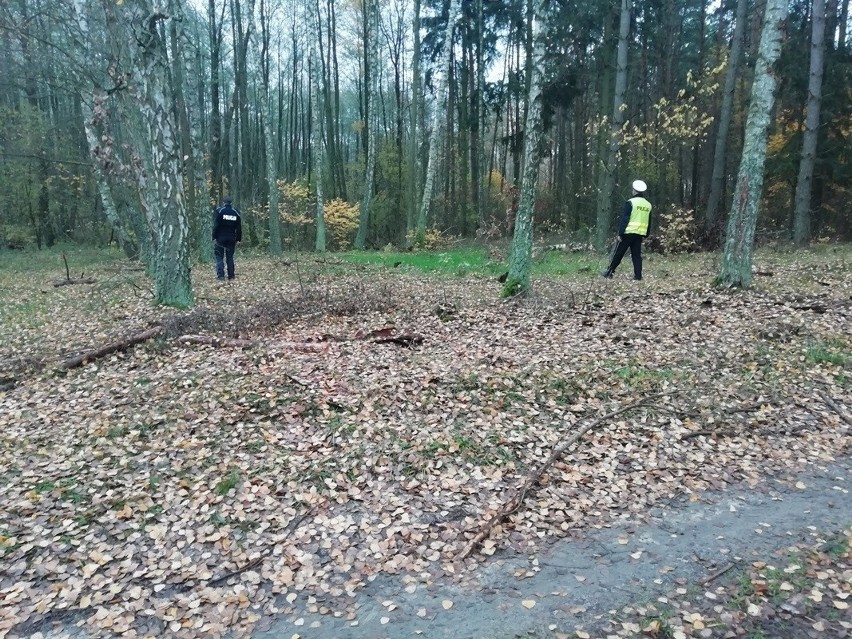 W lesie, na terenie gminy Nowe, zgubiła się pięcioosobowa...