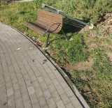 Czy park wypoczynkowo-rekreacyjny przy ul. Dolińskiego w Przemyślu zostanie objęty monitoringiem?