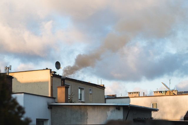 Mobilne płuca PAS pokazały, które miasta w Polsce są najbardziej zanieczyszczone. Natomiast raport IQAir wskazuje, na którym miejscu znajduje się Polska względem niemal całego świata.