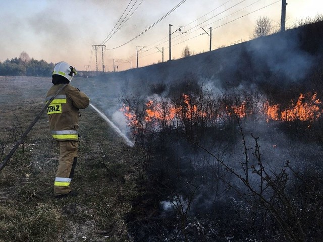 Pożar nasypu kolejowego w Czostkowie.