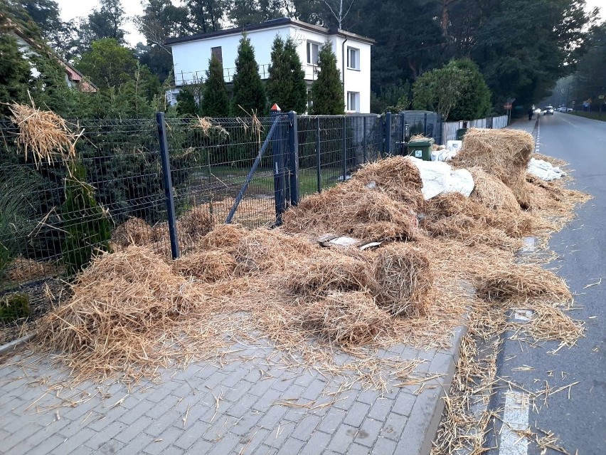 - Bardzo długo staraliśmy się walczyć o swoje prawa w...