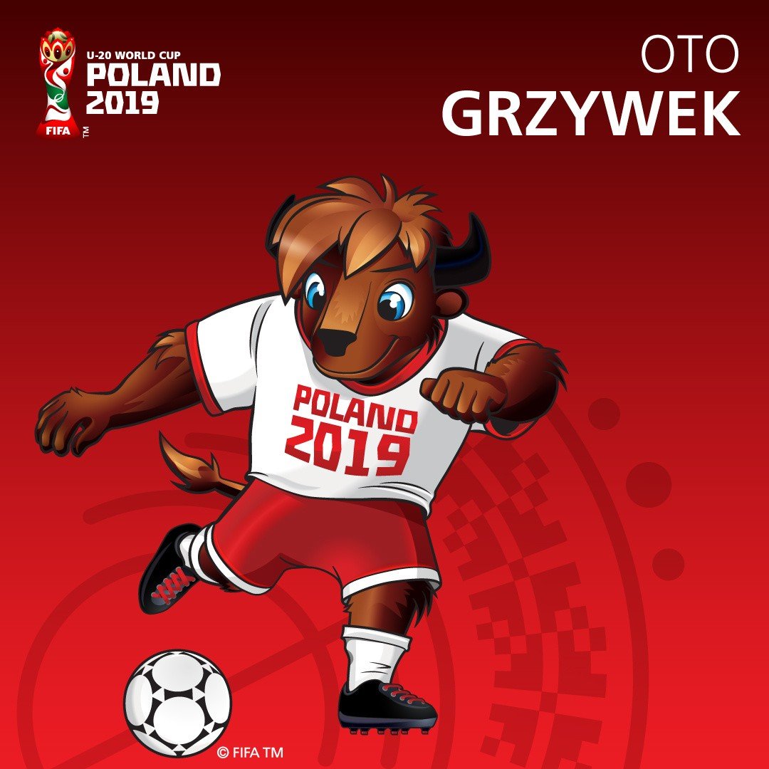 MŚ U-20 2019. Oto "Grzywek", oficjalna maskotka Mistrzostw Świata FIFA U-20  Polska 2019 | Gol24