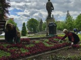 Wiosna w Słupsku poznać ją można po kalendarzu kwietnym [ZDJĘCIA]