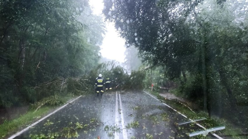 Burza uderzyła w niedzielne poołudnie najpierw w gminę Lisia...