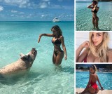 Veronika Bielik, polska królowa Instagrama na świńskiej wyspie ZDJĘCIA Seksowna modelka na Pig Island
