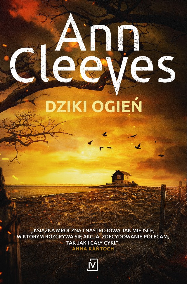 Ann Cleeves „Dziki ogień”. Recenzja: niszcząca siła plotki i zbrodnia na Szetlandach. Świetny finał bestsellerowej serii kryminalnej