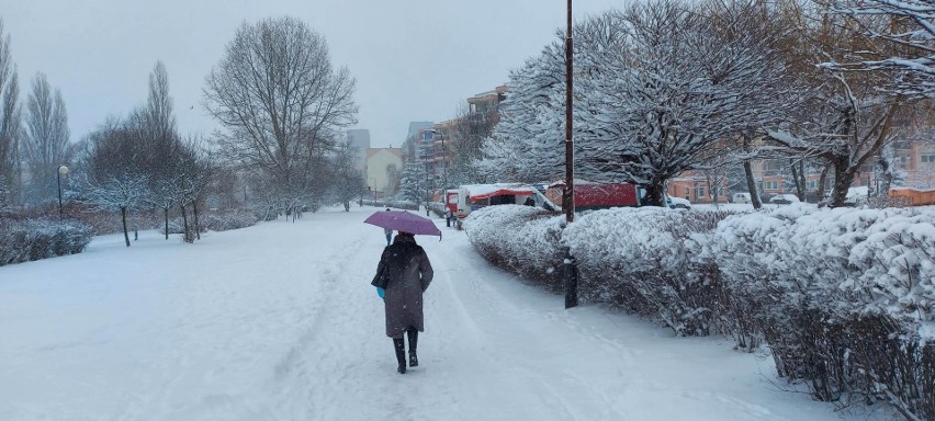 Pogoda w Łodzi. Sypnęło śniegiem, chwycił mróz. Do Łodzi wróciła zima ZDJĘCIA