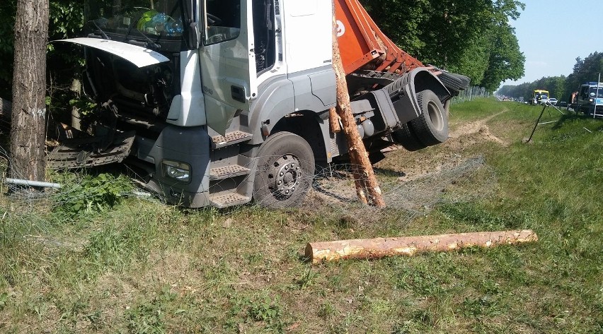 Na Drodze Krajowej nr 10 samochód ciężarowy z drewnem wpadł...