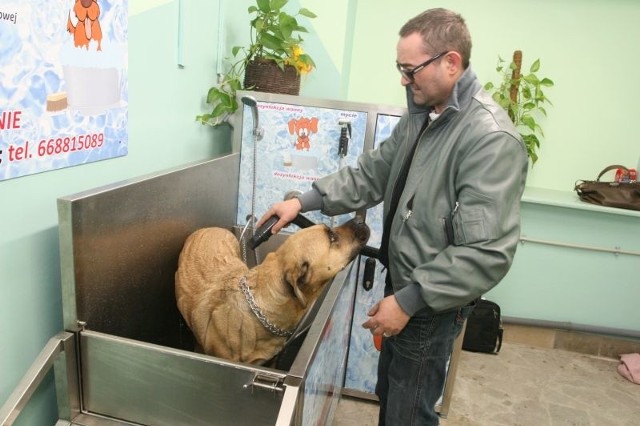 Tomasz Paduch, właściciel i główny pomysłodawca sieci myjni dla psów pokazuję próbkę kąpieli na przykładzie swojego czworonoga, suczki "Pusi". (fot. Łukasz Zarzycki)