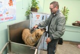 W Kielcach powstała samoobsługowa myjnia dla… psów!