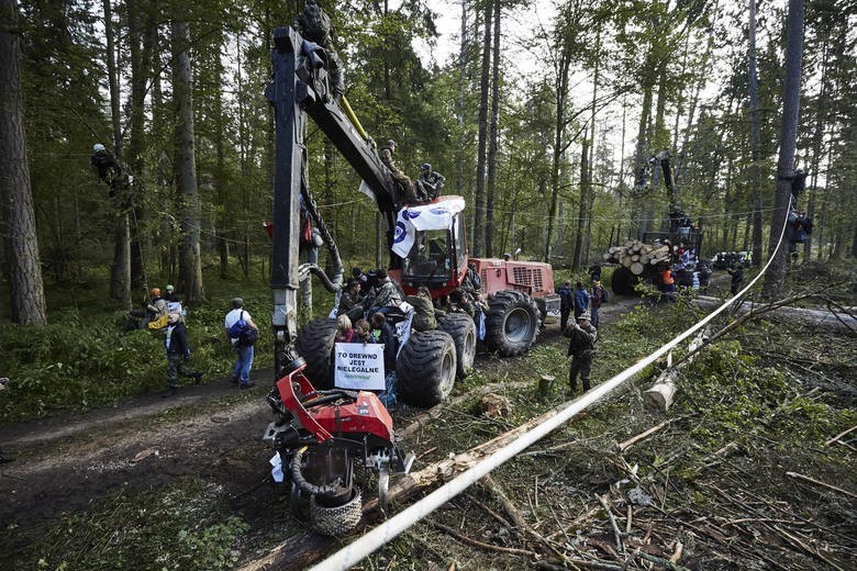 Protesty w Puszczy Białowieskiej trwają. Trzy osoby w...