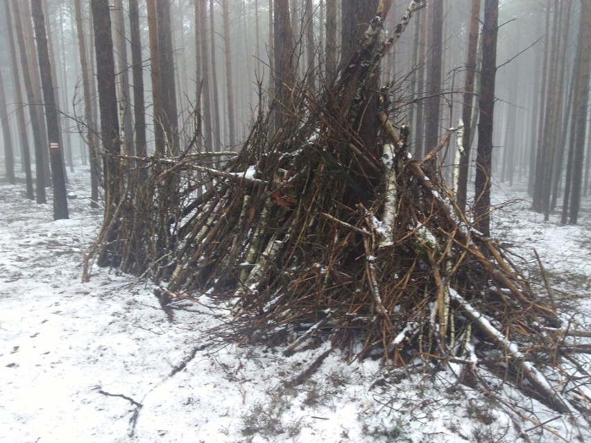 Wzgórza Piastowskie cieszą się olbrzymią popularnością wśród...