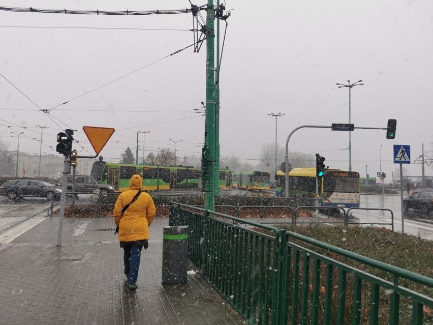 Pierwszy śnieg w Poznaniu.

Zobacz zdjęcia --->