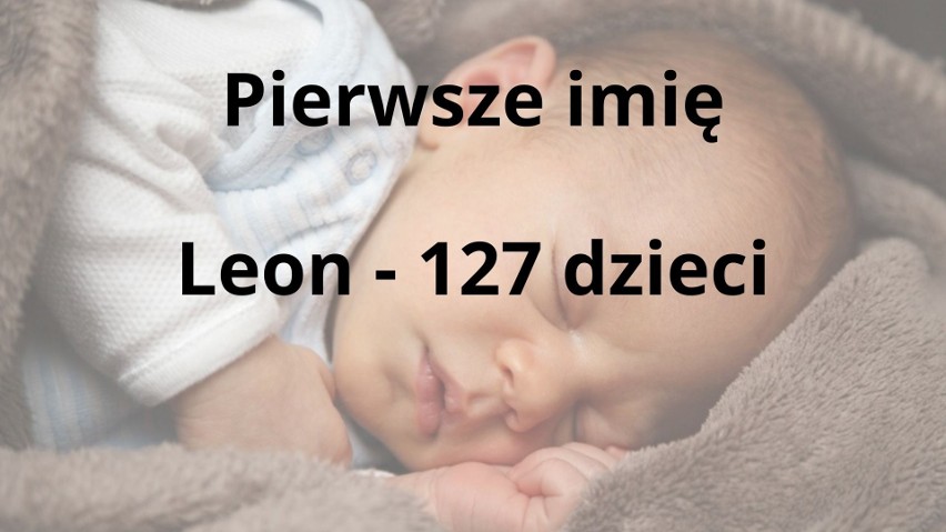 W województwie opolskim w zeszłym roku najczęściej...