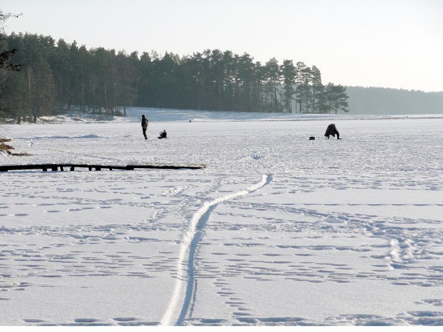 Jezioro Studzieniczno. Mężczyzna z dzieckiem wybrał się na spacer po zamarzniętym jeziorze.