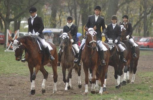 Agroturystyczna sobota upłynie pod znakiem koni