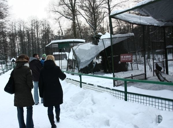 Klatki nie wytrzymały naporu śniegu. Białostoczanie są oburzeni ich stanem.