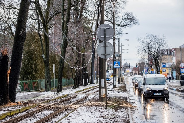 Na ulicy Nakielskiej w Bydgoszczy na wysokości skrzyżowania z ul. Chłodną drzewo przewróciło się na trakcję.