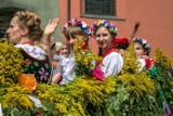 15 sierpnia będziemy obchodzić aż dwa święta - państwowe i kościelne. Czy możemy liczyć na wolny dzień od pracy? 