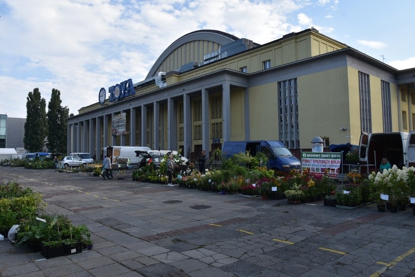 Bogatą ofertę roślin ozdobnych, nie tylko do zasadzenia na...