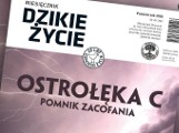 Mocny głos ekologów przeciw elektrowni w Ostrołęce